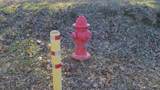 8.3 Acres Delightful Way - Photo 11