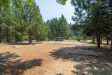 32441 Panther Avenue - Photo 85