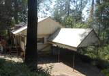 19132 Kamloop Road - Photo 6