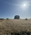 Lot 2 Sunset Hills Drive - Photo 4