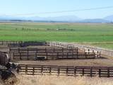 28960 Day Road - Photo 24