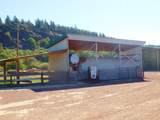 28960 Day Road - Photo 26