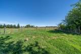 19050 Bruce Drive - Photo 51