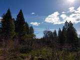 Lot 32 Shingle Glen Trail - Photo 11