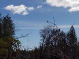 Lot 32 Shingle Glen Trail - Photo 12