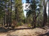 Lot 32 Shingle Glen Trail - Photo 14