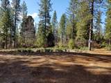 Lot 32 Shingle Glen Trail - Photo 15