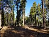Lot 32 Shingle Glen Trail - Photo 2