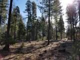 Lot 32 Shingle Glen Trail - Photo 5