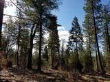 Lot 32 Shingle Glen Trail - Photo 9