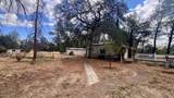 6563 Lulu Lane - Photo 39