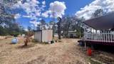 6563 Lulu Lane - Photo 41