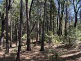 Lot 14 One Hundred Rd - Photo 1