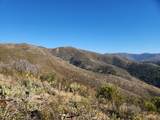  Merry Mountain - Photo 11