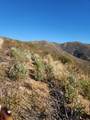  Merry Mountain - Photo 6