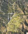 14884 Bear Mountain Road - Photo 41