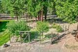 250 C Schneider Ranch Road - Photo 47