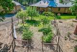 250 C Schneider Ranch Road - Photo 48