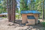 250 C Schneider Ranch Road - Photo 50