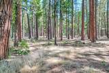 250 C Schneider Ranch Road - Photo 57
