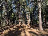  Alward Way - Photo 3