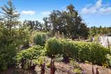 3211 Lake Redding Drive - Photo 46