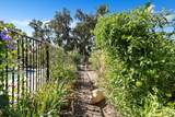 3211 Lake Redding Drive - Photo 47