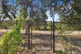 3211 Lake Redding Drive - Photo 48