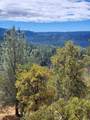 32415 Dickerson Road - Photo 47