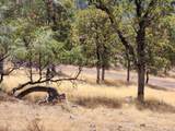 32415 Dickerson Road - Photo 48