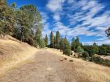 32415 Dickerson Road - Photo 50
