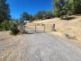 32415 Dickerson Road - Photo 53