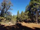 LOT 1 Eckert Lane - Photo 10