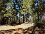 LOT 1 Eckert Lane - Photo 11