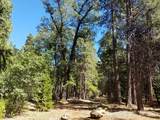 LOT 1 Eckert Lane - Photo 13