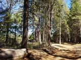 LOT 1 Eckert Lane - Photo 14
