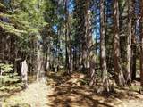 LOT 1 Eckert Lane - Photo 15