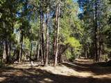 LOT 1 Eckert Lane - Photo 16