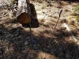 LOT 1 Eckert Lane - Photo 18