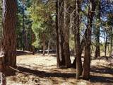 LOT 1 Eckert Lane - Photo 2