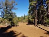 LOT 1 Eckert Lane - Photo 4