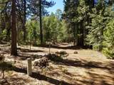 LOT 1 Eckert Lane - Photo 5