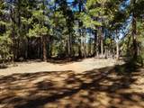 LOT 1 Eckert Lane - Photo 7