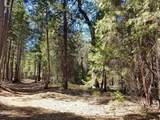 LOT 1 Eckert Lane - Photo 8