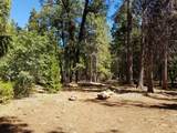LOT 1 Eckert Lane - Photo 9