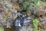29801 Montgomery Creek Falls Road - Photo 35