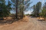 6731 Iffn Drive - Photo 23