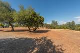 6731 Iffn Drive - Photo 33