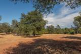 6731 Iffn Drive - Photo 35