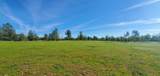18505 Brumby Way - Photo 12